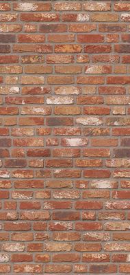 Panneau mural de douche 100x210 cm briques industrielles DecoDesign Décor - SCHULTE