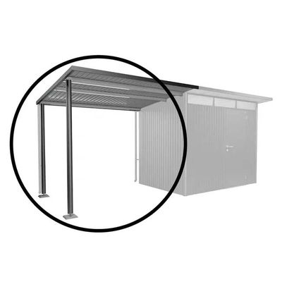 Auvent pour abri de jardin AvantGarde A3, A7 gris foncé métallique T. L - BIOHORT