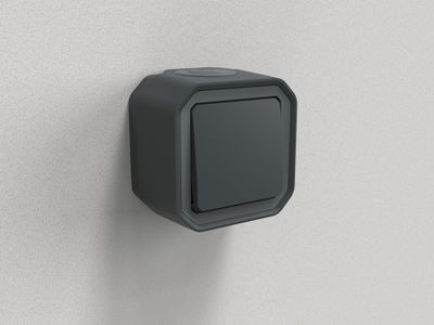 Bouton poussoir étanche IP55 en saillie Anthracite - Plexo LEGRAND