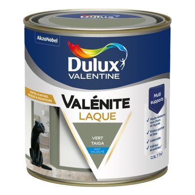 Peinture Boiseries Laque Acrylique Valénite Mat Vert Taiga 0,5 L  - DULUX VALENTINE