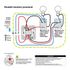 Double bouton poussoir aluminium - Odace 2011 SCHNEIDER ELECTRIC