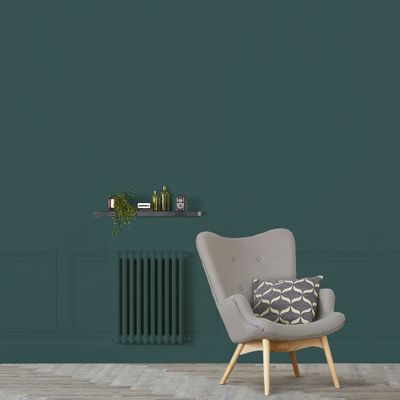 Peinture murs, boiseries et radiateurs vert armerie mat 2,5 L - RIPOLIN