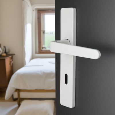 Poignées de porte sur plaques à clé double entraxe Celio blanc ALPERTEC