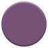 Testeur couleur Prune 30 ml - DULUX