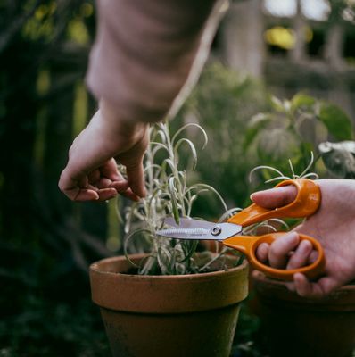 Ciseaux de jardin à lames striées FISKARS