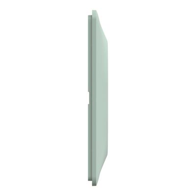 Plaque de finition 2 postes horizontal sauge - Ovalis SCHNEIDER ELECTRIC
