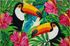 Tapis coco blanchi toucan 40 x 60 cm - ID MAT