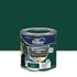 Peinture Ecran+ Fer Brillant Vert Basque 250 mL - DULUX VALENTINE