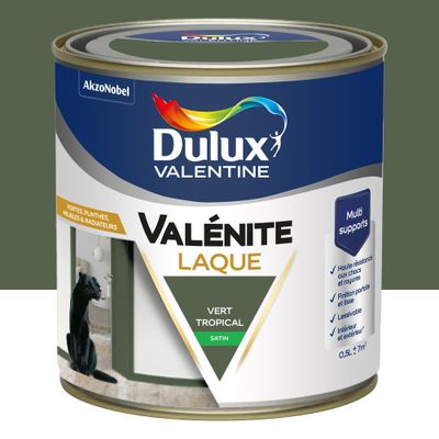Peinture Boiseries Laque Acrylique Valénite Vert Tropical Satin 0,5 L - DULUX VALENTINE