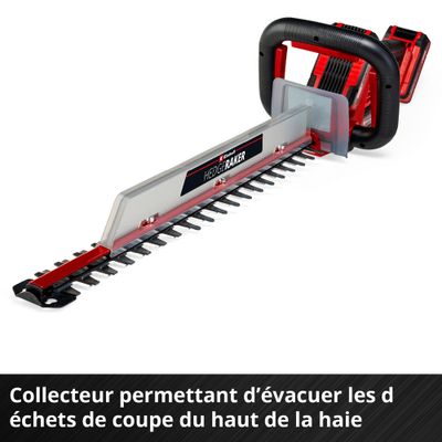 Taille haie à batterie 36 V lame 61 cm GE-CH 36/61 Li (2x4,0Ah) EINHELL