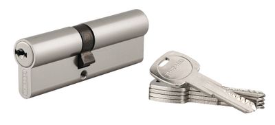 Cylindre de serrure double entrée 40 x 50 mm Trafic 6 haute sécurité nickelé 5 clés THIRARD
