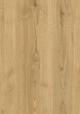 Sol stratifé décor chêne ADAJA ép 8+1 mm 19.3 x 138 cm AC5 paquet de 1.86 m² SWISS KRONO