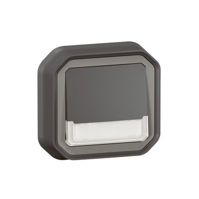 Bouton poussoir inverseur étanche IP55 lumineux + porte-étiquette encastrable Anthracite - Plexo LEGRAND