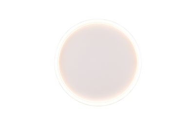 Plafonnier LED rond Rotonda blanc 2600 lumens blanc chaud - REALITY