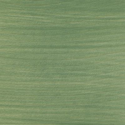 Lasure Haute Protection 8 ans satin vert provence 125 mL - V33