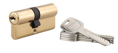 Cylindre de serrure double entrée 30 x 40 mm Trafic 6 haute sécurité laiton 5 clés THIRARD