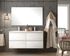 Meuble de salle de bains Inglet 120 x 61 x 45 cm 4 tiroirs bois mélaminé coloris hibernian + double vasque céramique - EGORE