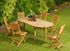 Table de jardin à rallonge DURBAN acacia beige 160/220x100cm, Livraisons à domicile incluse - PROLOISIRS