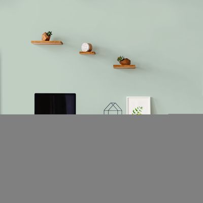 Peinture murs, boiseries et radiateurs vert palatino velours 0,5L RIPOLIN