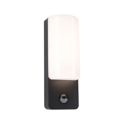 Applique extérieur LED IP44 détecteur de mouvements 560 lumens blanc chaud Anthracite - Bonnie PAULMANN