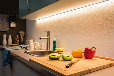 Ruban LED 24V extension d'1m blanc chaud dimmable - MaxLED1000 PAULMANN