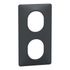Plaque de finition 2 postes verticale anthracite - Ovalis SCHNEIDER ELECTRIC