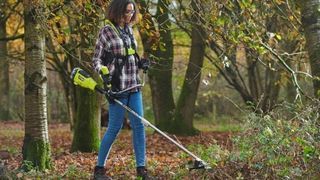 Nomenclature Débroussailleuse
