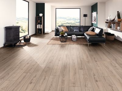 Sol stratifié décor chêne clair MUSHROOM ép 8 mm 19,2 x 128,8 cm AC5 paquet de 2,26 m² AJ TIMBER