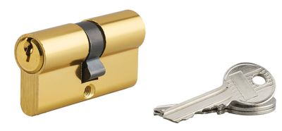 Cylindre de serrure double entrée 30 x 30 mm laiton 3 clés SERRUPRIX