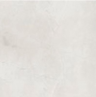 Carrelage sol intérieur gris DREAM 60 x 60 cm rectifié paquet de 1,42 m² ELYSSA TRADING