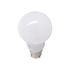 Ampoule LED standard B22 9W = 720 lumens blanc chaud - XANLITE