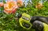 Sécateur à batterie 18 V BRUSHLESS RYOBI