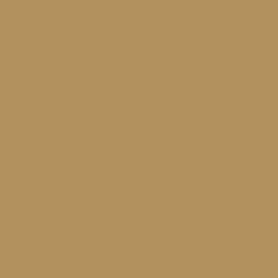 Peinture Crème de Couleur Ocre Doré mat 0,5 L - DULUX VALENTINE