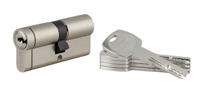 Cylindre de serrure double entrée 30 x 35 mm Transit 1 haute sécurité nickelé 4 clés THIRARD