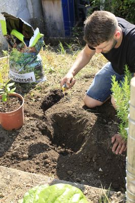 Transplantoir à dents Duopro manche bi-matière
