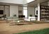 Carrelage de sol extérieur noyer NWOOD ép 10 mm 20 x 120 cm rectifié paquet de 1,44 m² HERBERIA