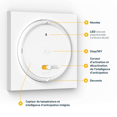 Télécommande intelligente avec capteur de température AMY Sun Protect io - SOMFY