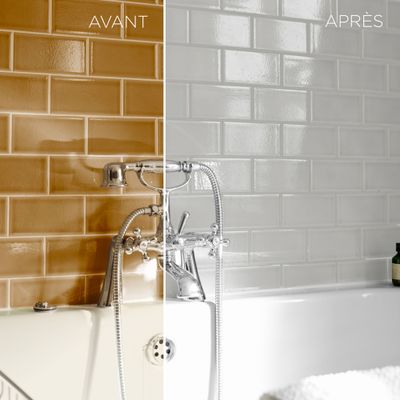 Résine colorée de rénovation gris pur 250 ml - RESINENCE