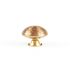 Bouton de meuble laiton illustré diamètre 37 mm REI