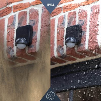 Détecteur de mouvement infrarouge noir multi-pose IP54 - TIBELEC