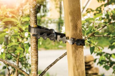 Tuteur carré en bois 2,2 x 2,2 cm H150 cm - WINDHAGER