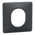 Plaque de finition 1 poste aluminium - Ovalis SCHNEIDER ELECTRIC