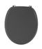 Abattant de WC Gris foncé