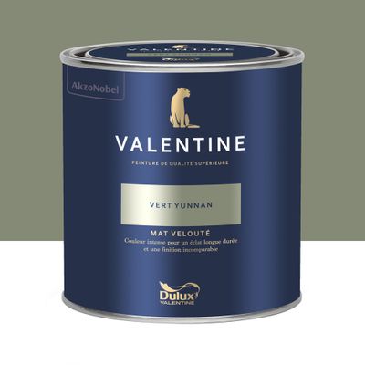 Peinture Valentine Mat Velouté Vert Yunnan 0,5 L - DULUX VALENTINE