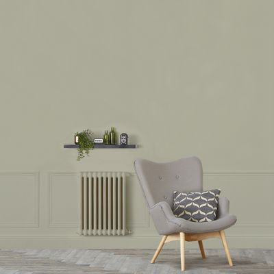 Peinture murs, boiseries et radiateurs vert bourrache mat 2,5 L - RIPOLIN