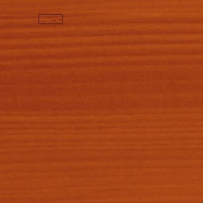 Saturateur 2 en 1 protection 5 ans Teck mat 5L BONDEX