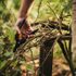 Coupe-Branches à crémaillère PowerGear L78 et sécateur Singlestep P26 FISKARS