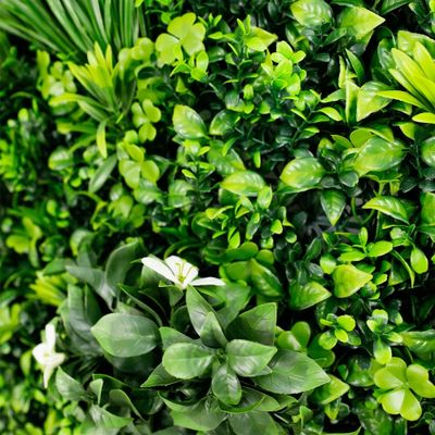 Mur végétal artificiel liseron 1m x 1m AG'CO