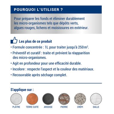 Anti-dépôts verts concentré 1 L pour toiture et façade - RIPOLIN_NEW