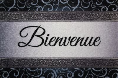 Tapis Dallas bienvenue gris - 40X60 - ID HOME